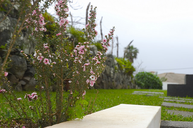 casa do miradouro garden flowers madeira vacation home rental villa luxury pool