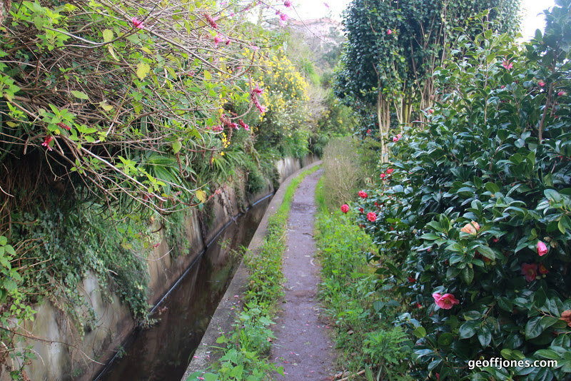 Levada dos Tornos