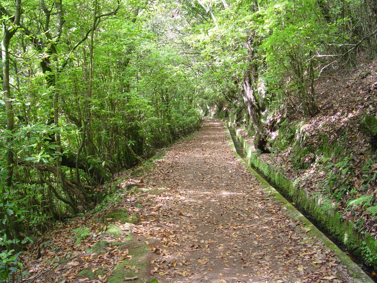 Levada do Furado