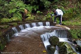 Levada do rei